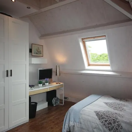 De Pimpelmees La Haya